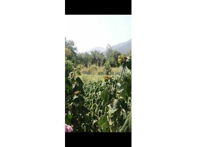 یک قطعه زمین با مجوز ساخت 