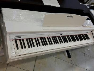 دیجیتال پیانو-فقط با 2 میلیون صاحب پیانو شوید(فروش فوق العاده)