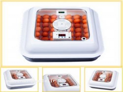 فروش فوری فیلتر پرس دست دوم  استنلس استیل 60*60 