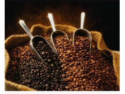 فروش انواع قهوه در دزفول-سِرو و فروش انواع قهوه در دزفول
