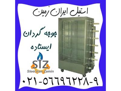 جوجه گردان ايستاده