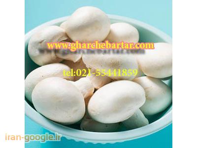 بذر قارچ،کمپوست،سم اسپورگون