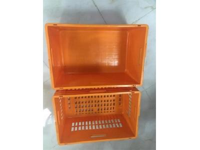 جعبه پلاستیکی ، پخش عمده سبد در کشور