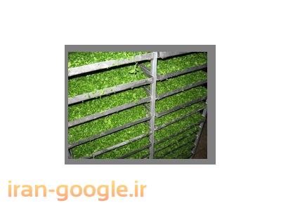 خشک کن میوه و سبزی ، خشک کن کانتینیوس