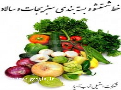  خط شستشوی سبزیجات ، سالاد ، میوه و بسته بندی WASI
