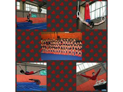 باشگاه ژیمناستیک