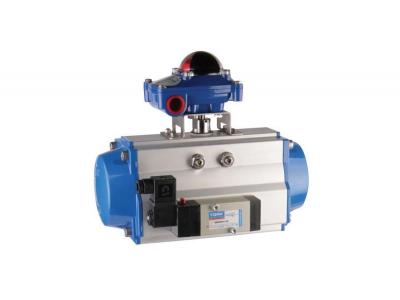 شیر برقی نامور ترک TORK