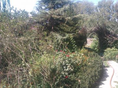  فروش باغ ویلا 3200 متری در ملارد(کد177)