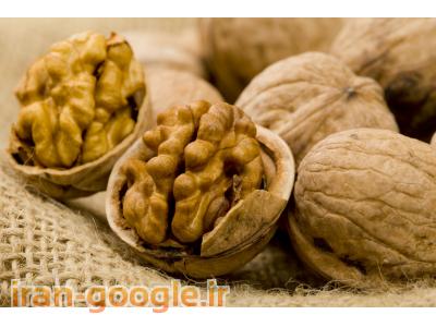 فروش گردوی اعلای دماوند با بهترين مغز(سفید و پرچرب) با مناسب ترین قيمت