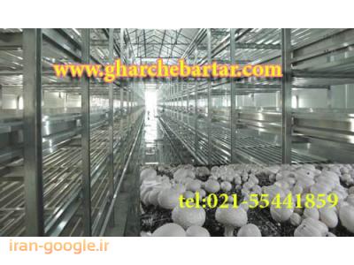 فروش قارچ دکمه ای و قارچ صدفی