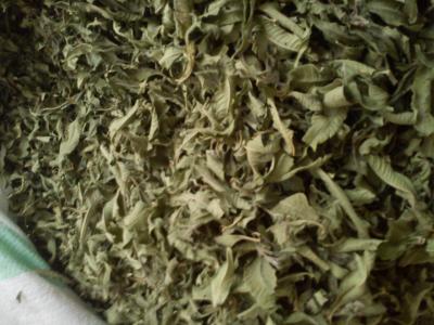 تولید و فروش به لیمو 