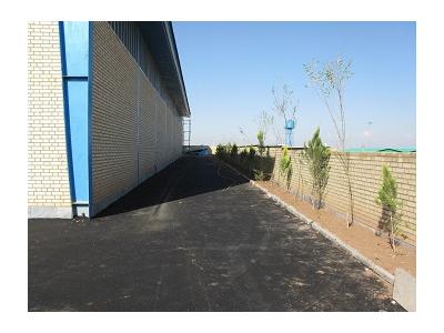 فروش کارخانه تولید و بسته بندی داروهای گیاهی