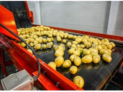 نوار نقاله منجید دار