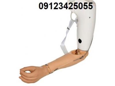 پا و دست مصنوعی-ساخت اندام مصنوعی از جمله : پروتز دست مصنوعی و پا 