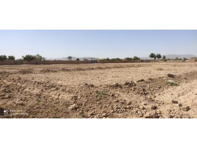 فروش باغ و زمین در نجف آبادد-فروش زمین 1000 متری در جوزدان | نجف آباد