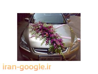 بازار گل تهران-ماشین عروس حرفه ای 