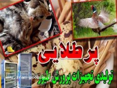 دستگاه جوجه کشی فول دیجیتال جدید - (قائم‌شهر)