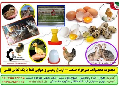 جوجه کرمانشاهی-مجموعه محصولات مهرخواه صنعت