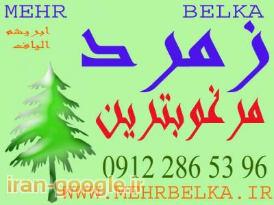 پوشش سلولزی زمرد