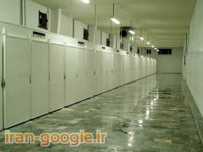 شرکت رایمند  طراح و سازنده ماشینهای ابزار مخصوص و ارائه دهنده خدمات فنی صنایع مرغداری و جوجه کشی