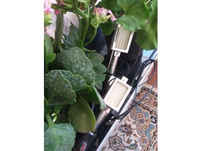 تولید زغال برقی ، انبربرقی ، پخش لوازم خانگی