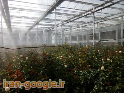 فروش و اجرای سیستم مه پاش (فوگر)