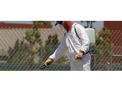 سمپاشي ساختمان