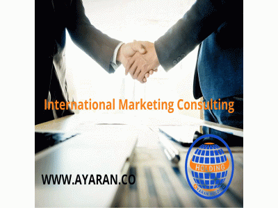 هلدینگ عیاران