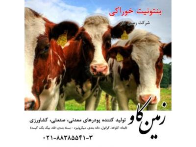 خواص بنتونیت در خوراک دام (Bentonite)