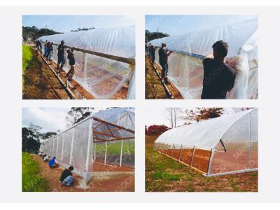 ماهگون پلاستیک