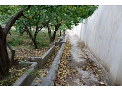 60000 متر ویلا باغ لاکچری و خاص 