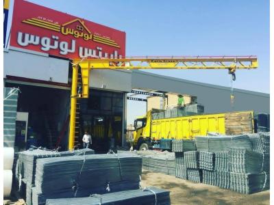 رابیتس لوتوس 