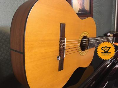 فروش گیتار ریموندو Raimundo 123 - سالار غلامی