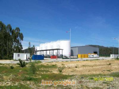 تولید بیودیزل