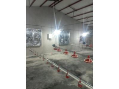 خریدو فروش تجهیزات مرغداری گوشتی و تخمی