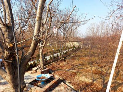 ویلا باغ در شهریار-5500 متر باغ ویلای مشجر با بنای قدیمی در شهریار