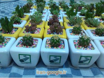 فروش گلدان های تبلیغاتی