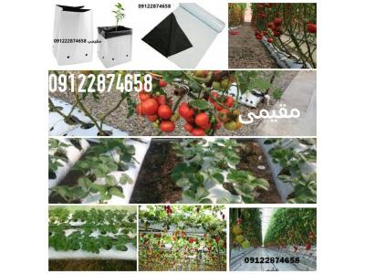 نایلون گروبگ ، کیسه کشت هیدروپونیک 