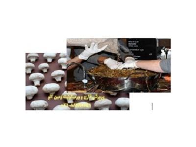 ورمیکولیت-پرورش قارچ