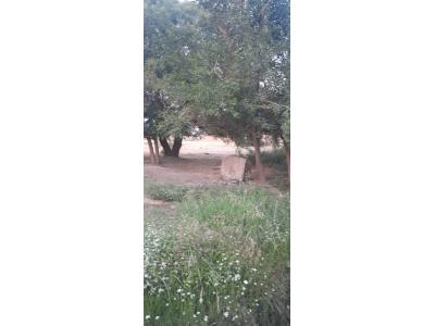 فروش 25000 متر چهاردیواری در شریف آباد پاکدشت