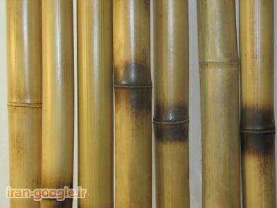 چوب بامبو