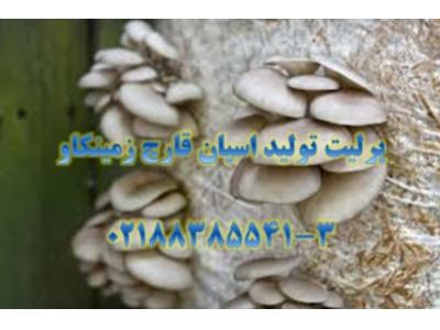 پرلیت-تولیدقارچ اسپان