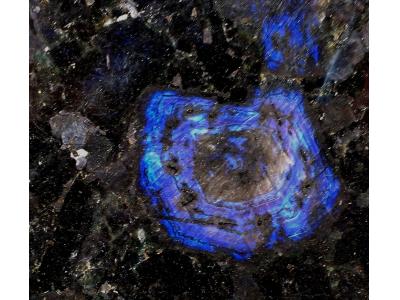 تهیه  و توزیع انواع سنگ های خارجی 