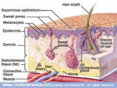 آموزش تخصصی مراقبت های پوست و مو