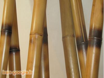 فروش چوب-چوب بامبو