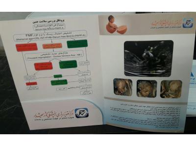 پاکت های نخودی و بیمارستانی