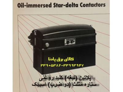 فروش انواع پلاتین یا تیغه کلید روغنی   اسبیک