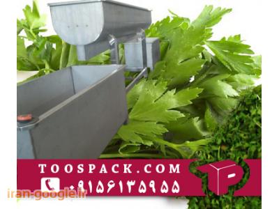 دستگاه شستشوی صیفی جات 