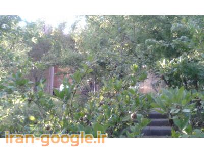 فروش باغ رستوران فعال درطالقان