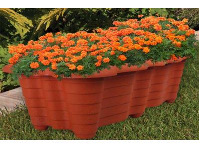 خرید گلدان دکوری